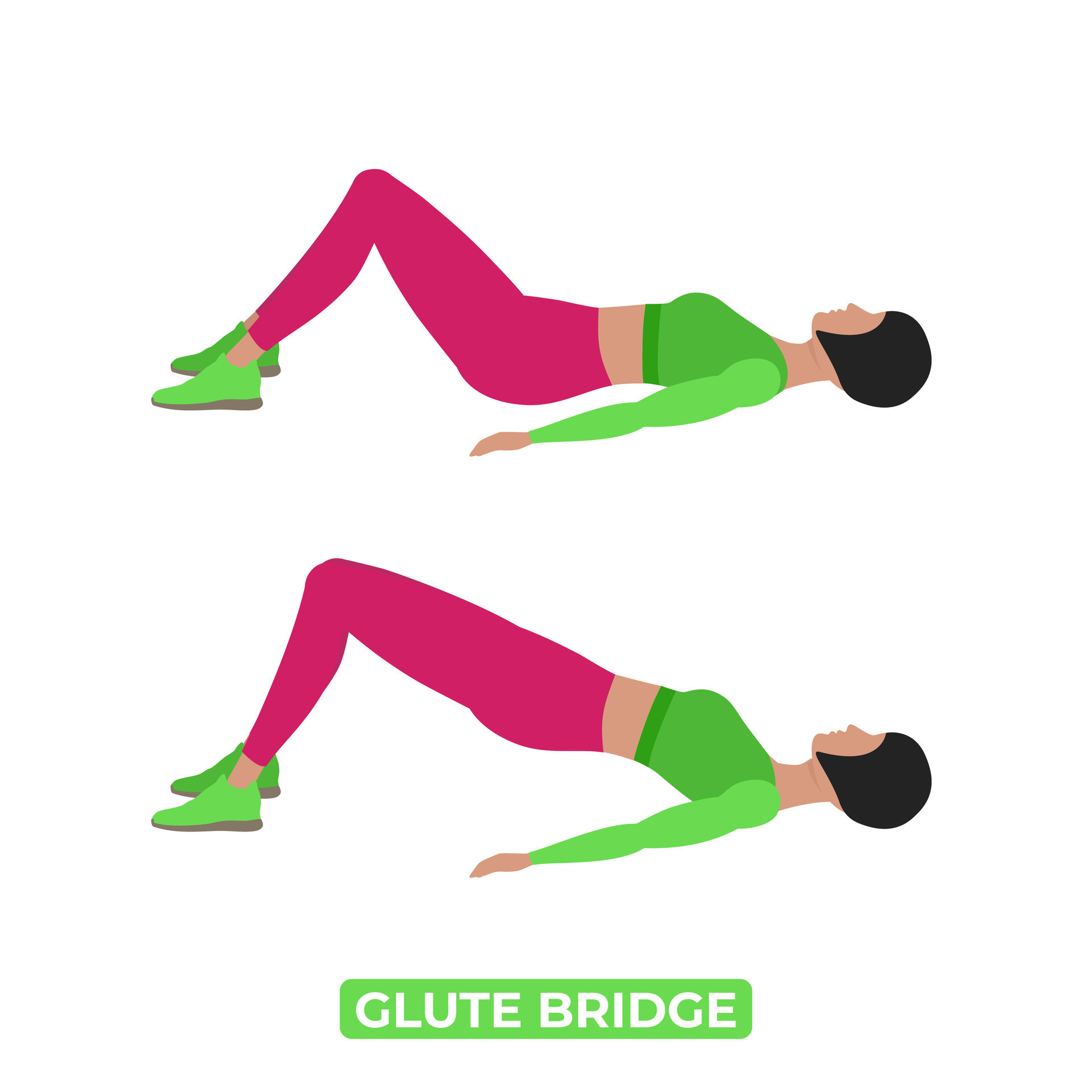 Vector Woman Doing Glute Bridge. Butt Lift. Bodyweight Fitness Legs