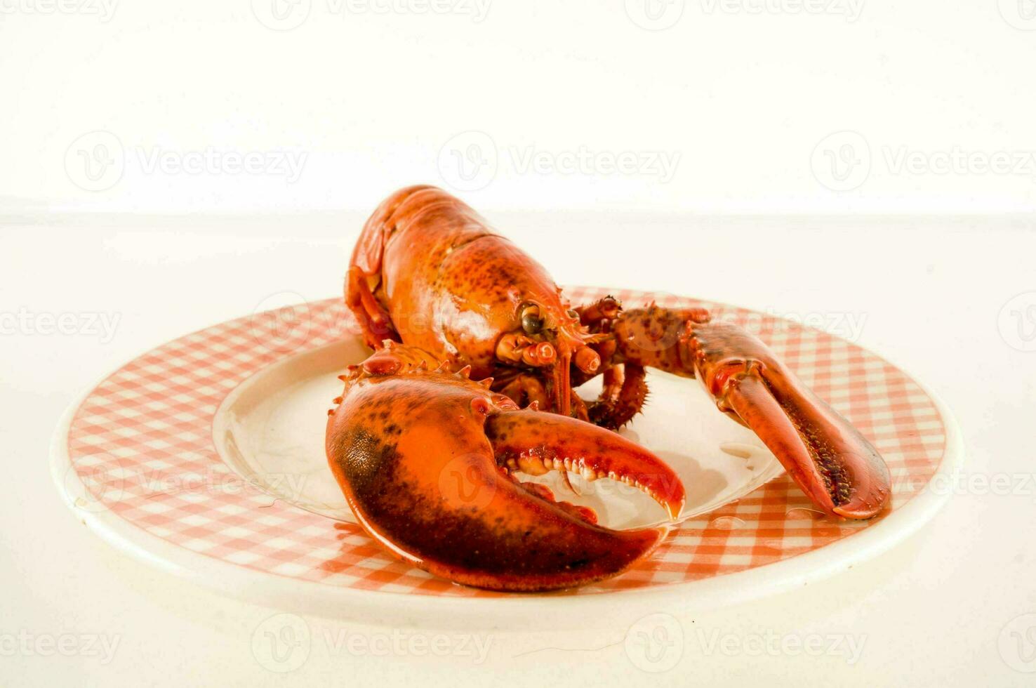 a lobster on a plate with a checkered tablecloth photo