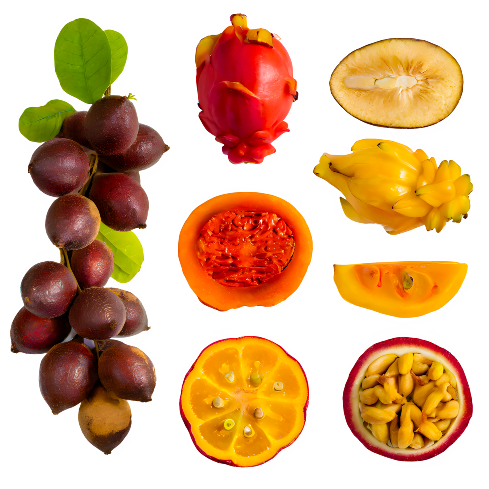 AI generated Gowok fruit sliced isolated on transparent background png
