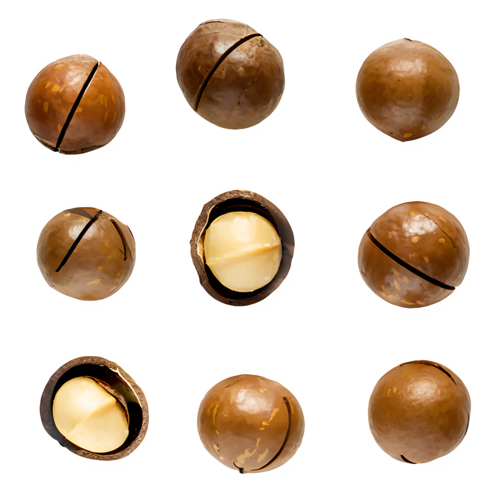 AI generated Macadamia nuts isolated on transparent background png
