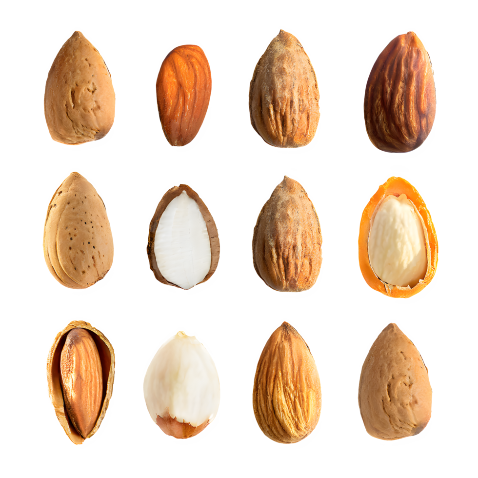AI generated Almonds isolated on transparent background png