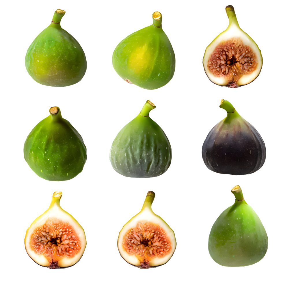 AI generated Fresh common fig ficus carica isolated on transparent background png