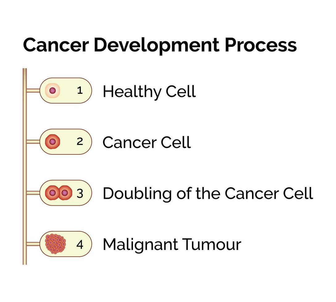 cáncer célula desarrollo proceso Ciencias diseño vector ilustración diagrama