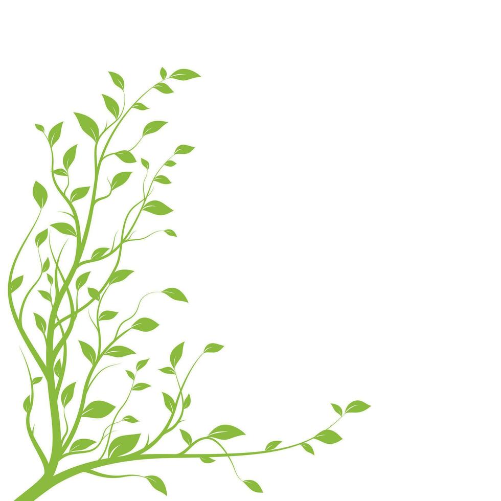 Green tree branch. Branch silhouette isolated on white background with a lot of leaves. Vector illustration