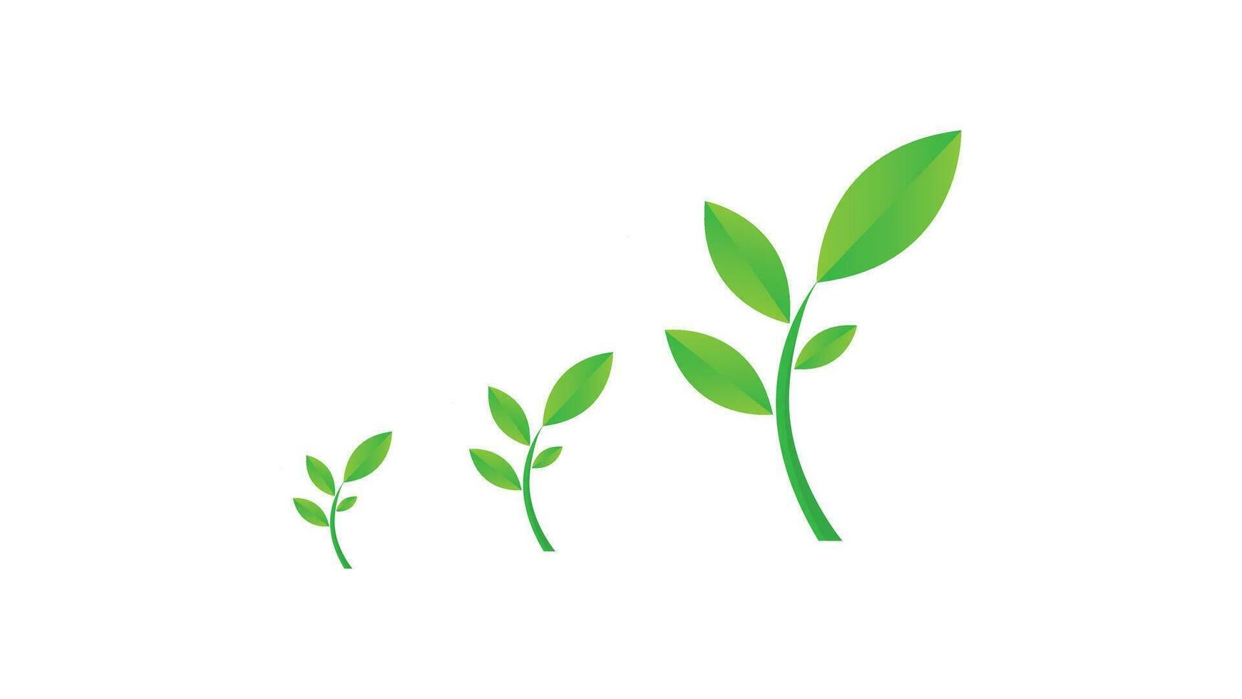 green leaf icon vector design