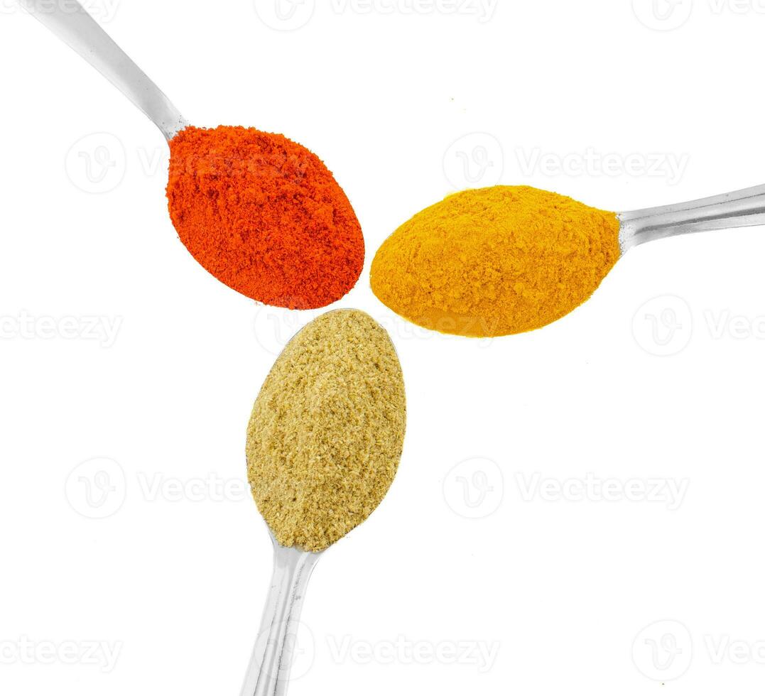 Indian Spices in Spoons on White Background photo