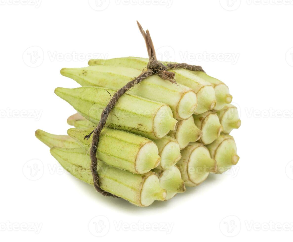 Green okra Vegetable or Lady Finger on White Background photo