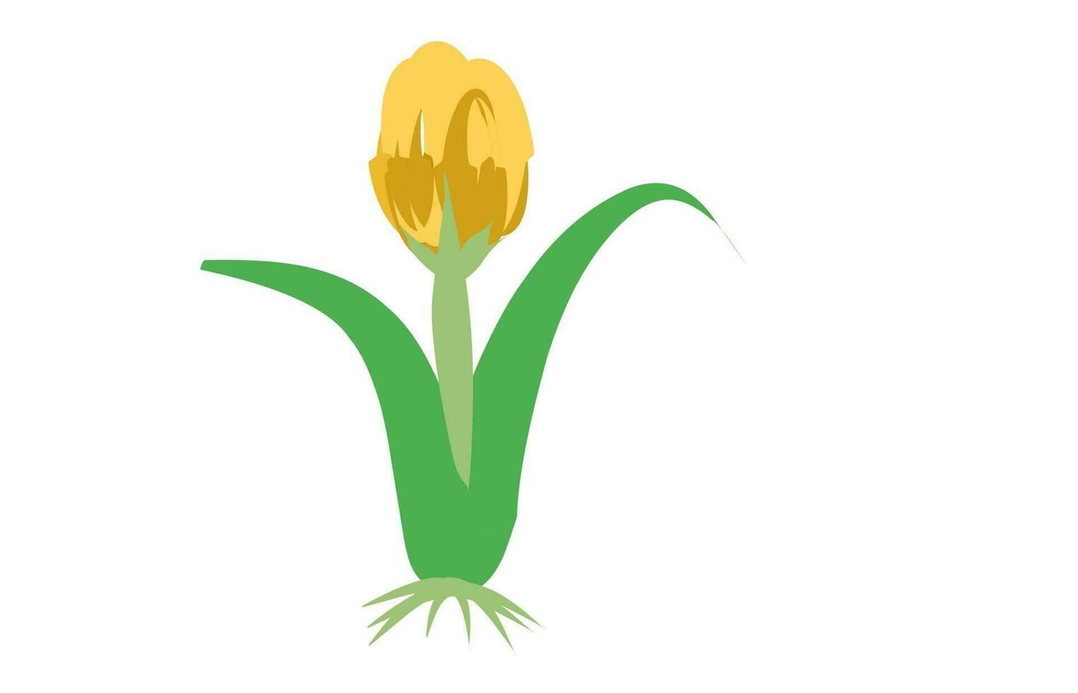 flower yellow and green vector