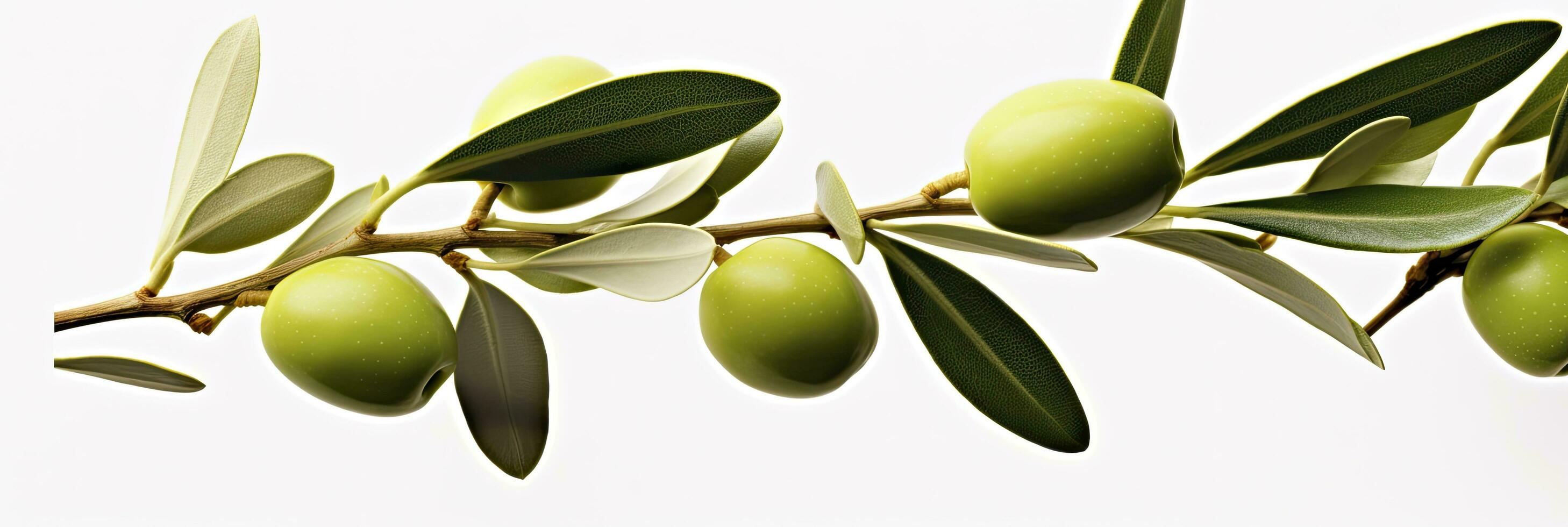 AI generated Olive tree branch, green olives and leaves on white background. AI Generated. photo