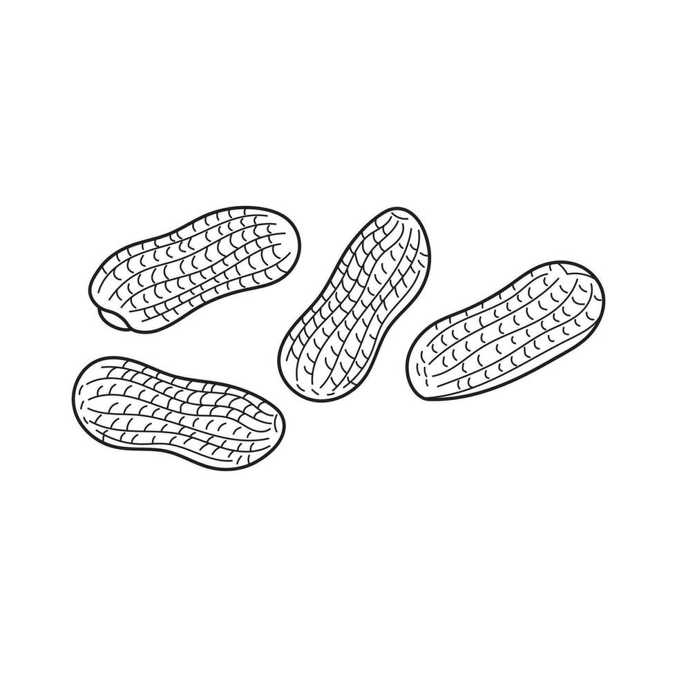 Hand drawn Kids drawing Cartoon Vector illustration circus peanuts Isolated on White Background