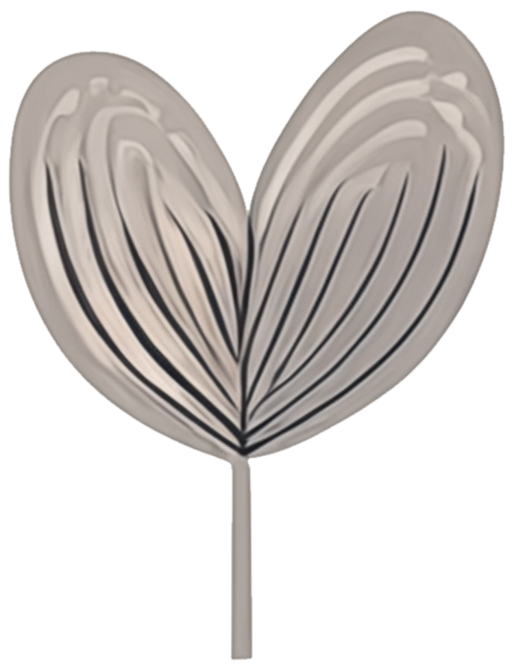 minimalist leaves free png