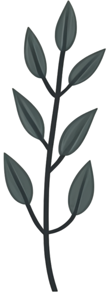 minimalist leaves free png