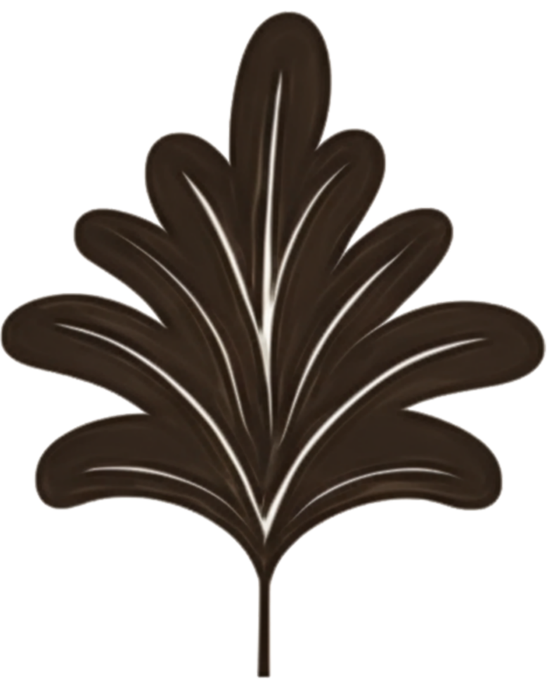 minimalist leaves free png