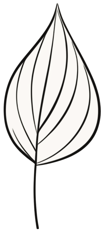 minimalist leaves free png