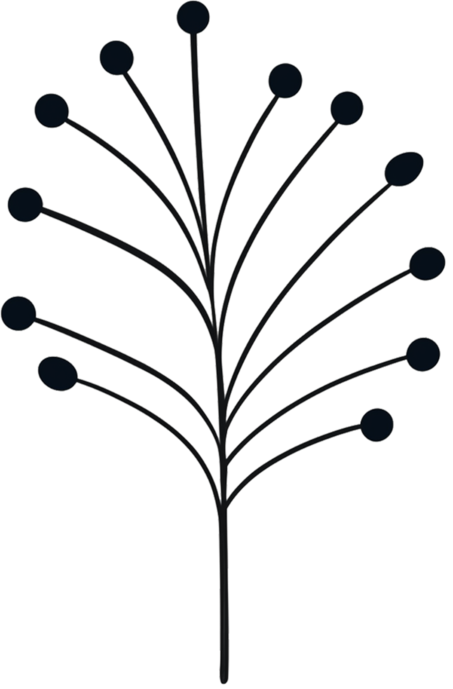 minimalist leaves free png