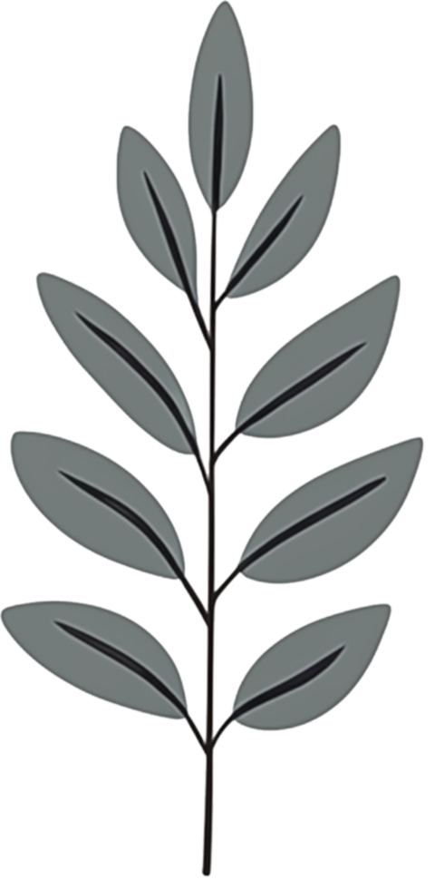 minimalist leaves free png