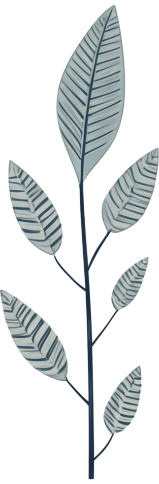 minimalist leaves free png