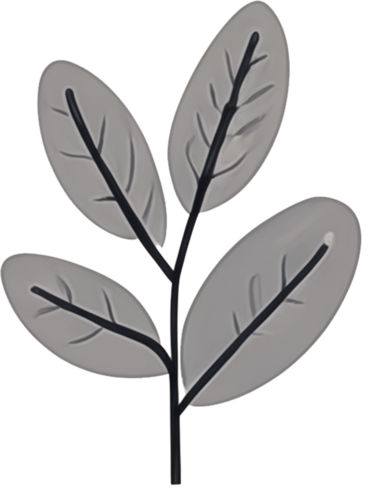 minimalist leaves free png