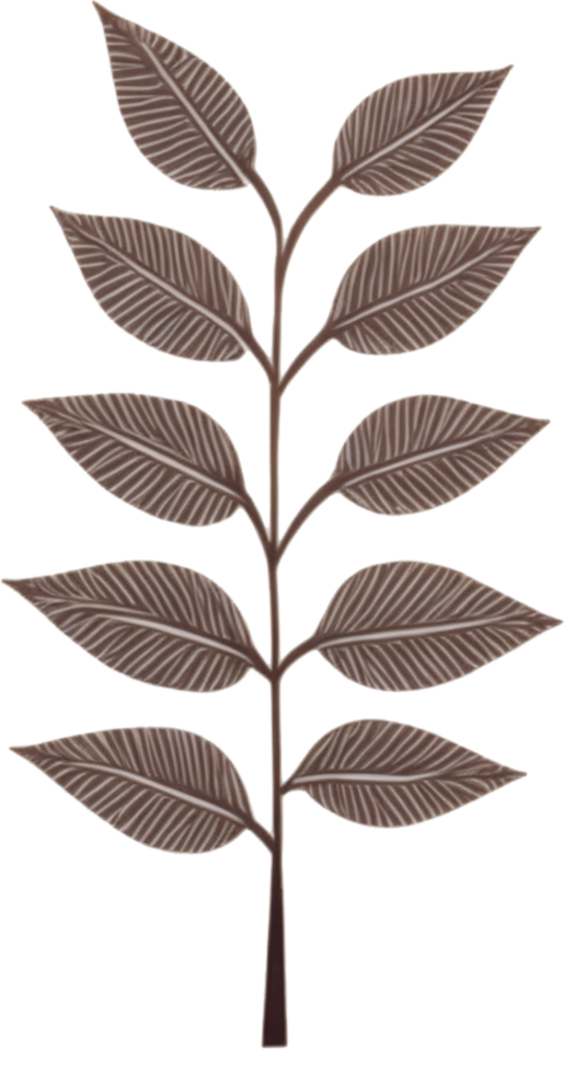 minimalist leaves free png