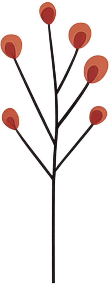 minimalist leaves free png