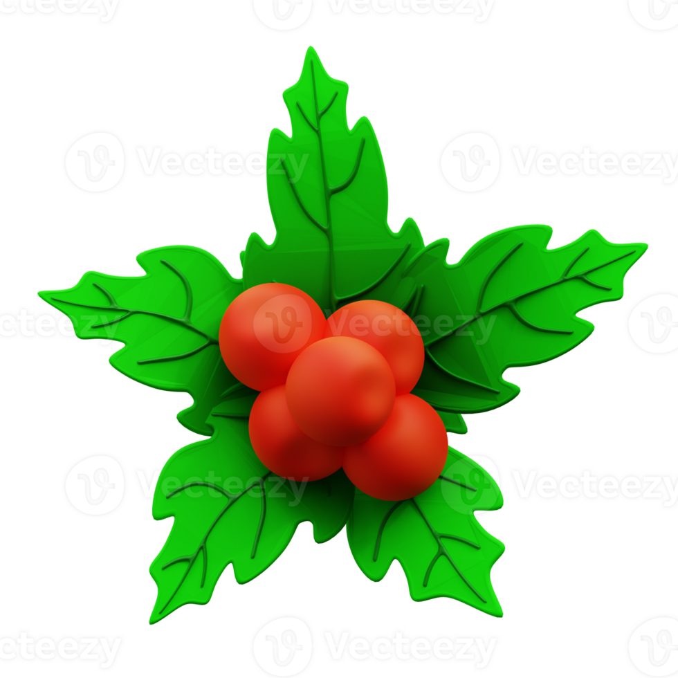3d illustration Christmas holly three leaves png