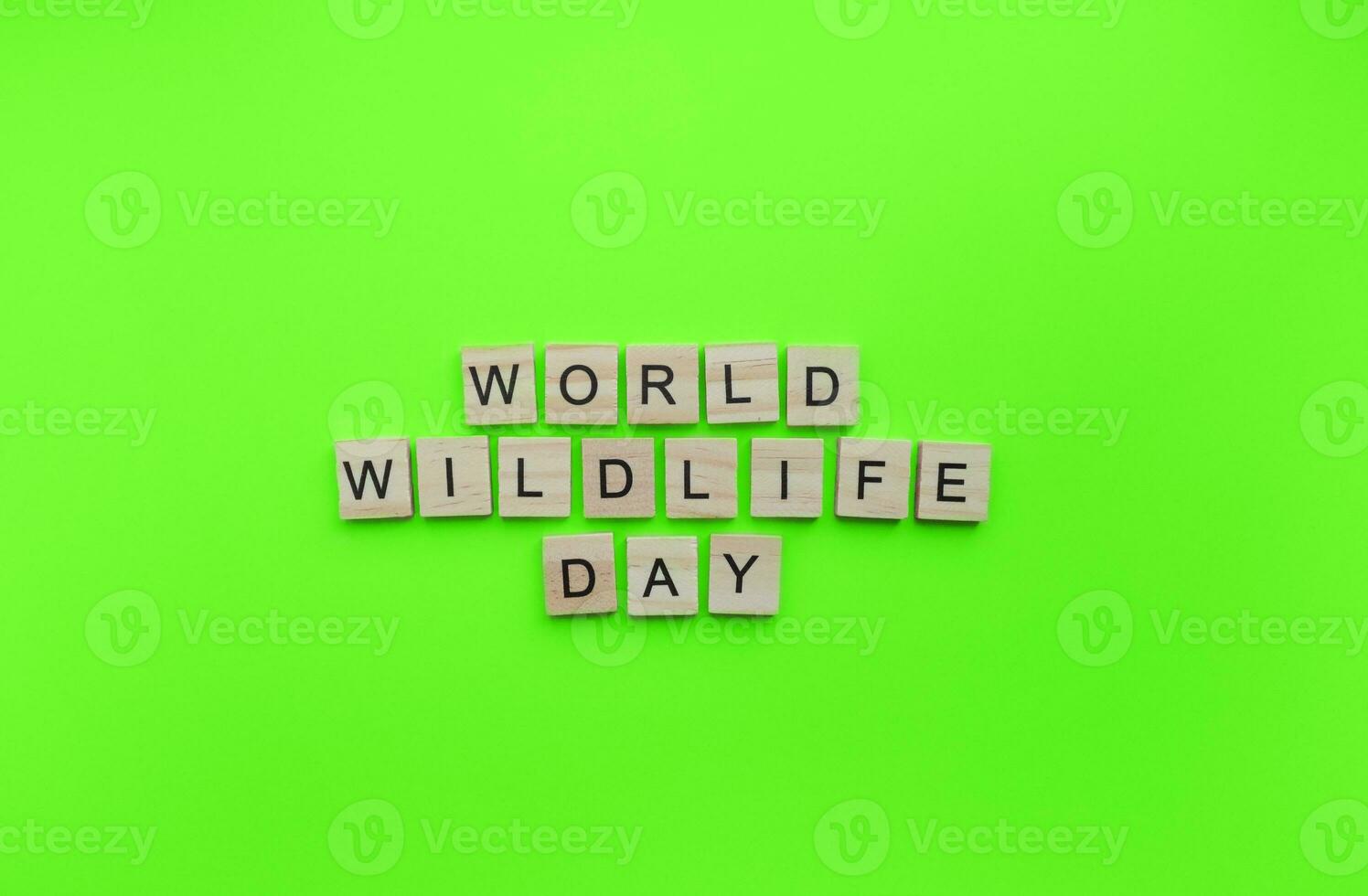 On March 3, World Wildlife Day, a minimalistic banner with an inscription in wooden letters photo