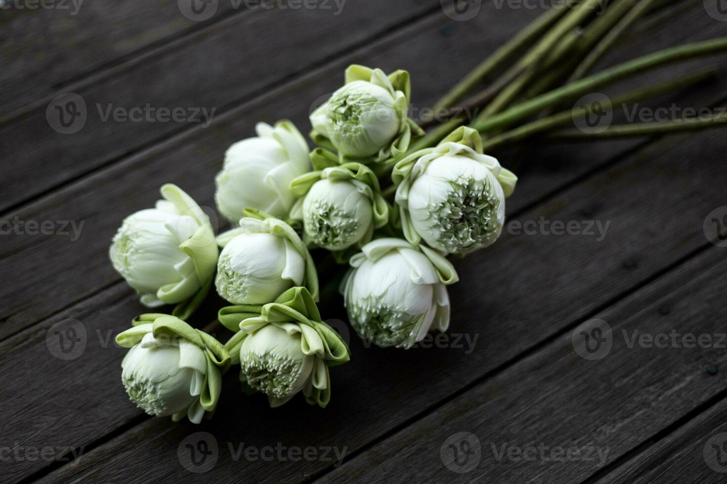 close up, many of white lotus bud on Wooden table background. Folding white lotus petal on wooden table, Thai traditional style. photo