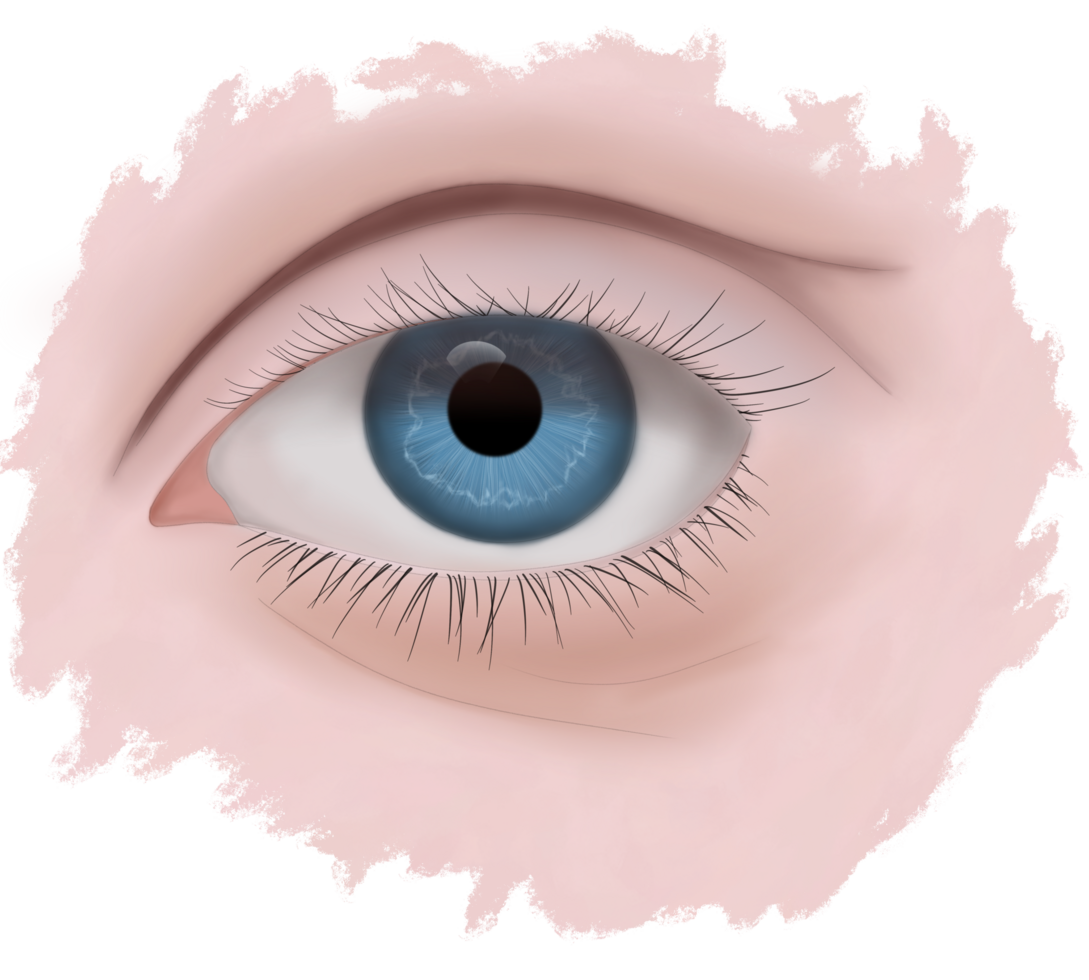 A realistic drawing of a human eye with a blue iris, Close up, This is a scalable and editable vector drawing, Black eye iris pupil, close up view of human eye looking away png