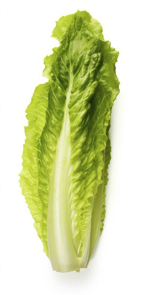 AI generated Lettuce isolated on white background. AI Generated photo