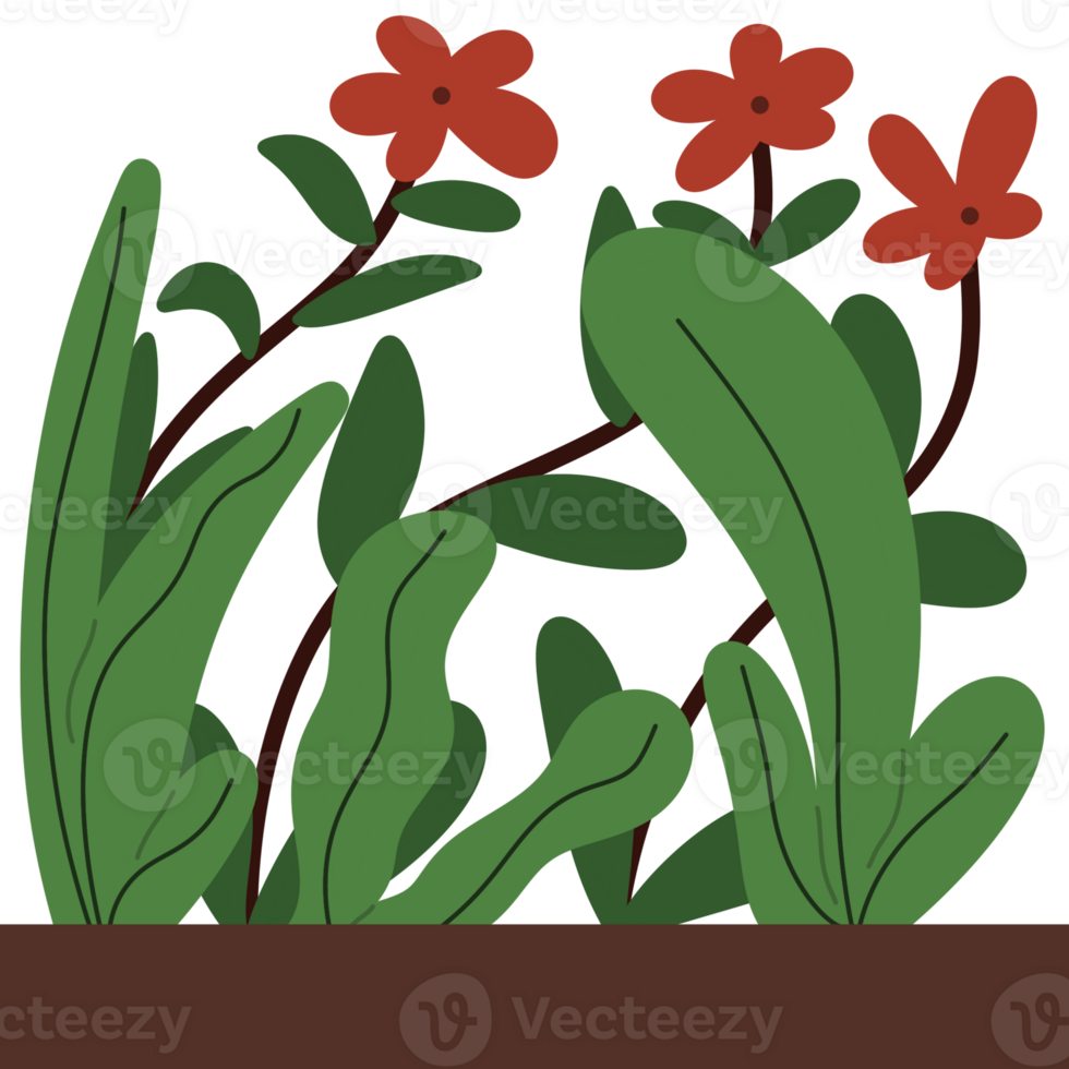 Aesthetic Leaf Flower png