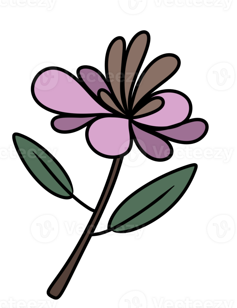 Aesthetic Leaf Flower png