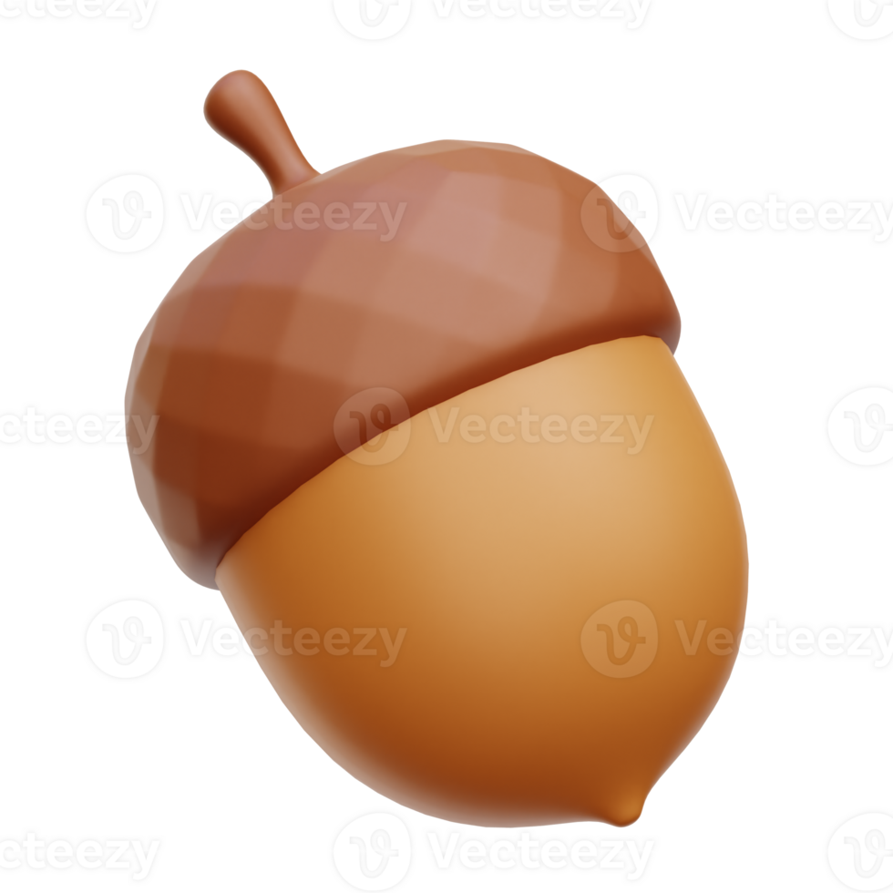 Acorn 3D Icon Illustrations png
