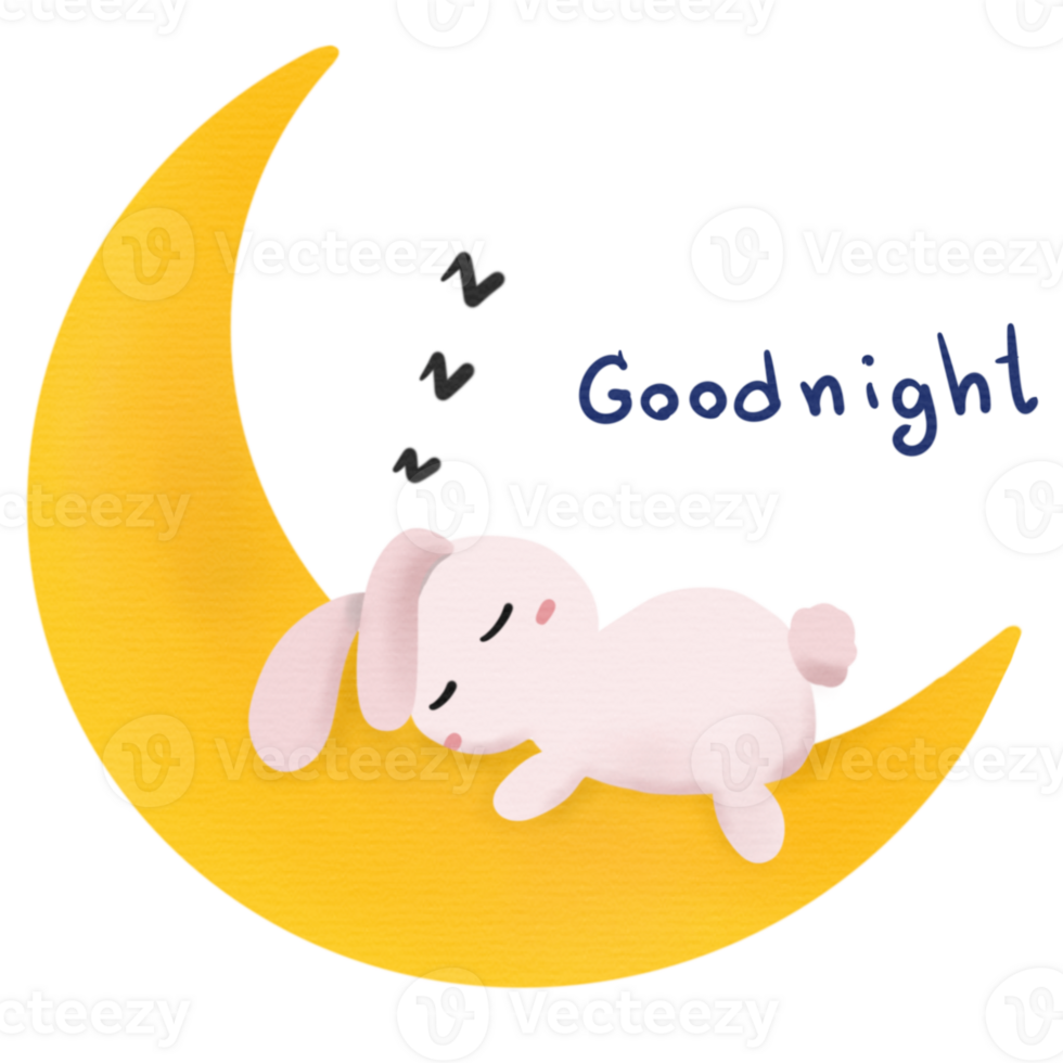 Pink rabbit sleep on the moon with wording as goodnight png