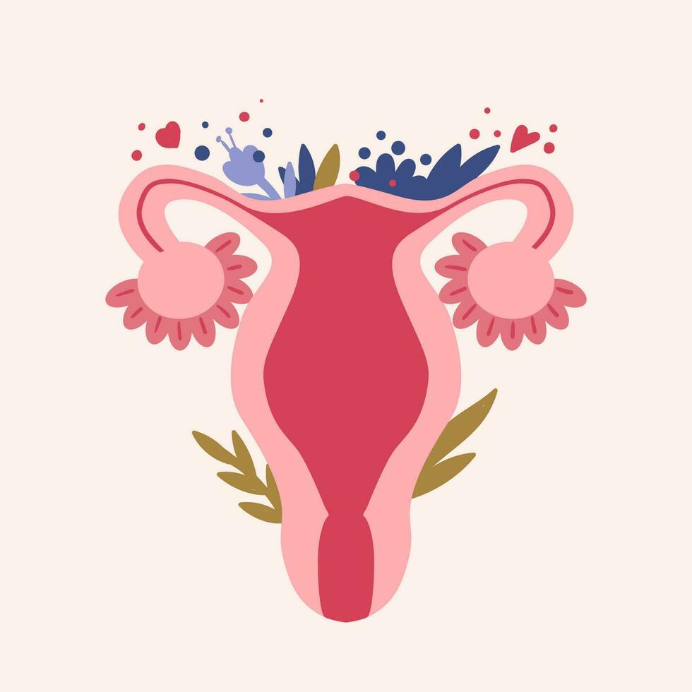 Female reproductive system. Womans health. Intimate hygiene. Vector illustration