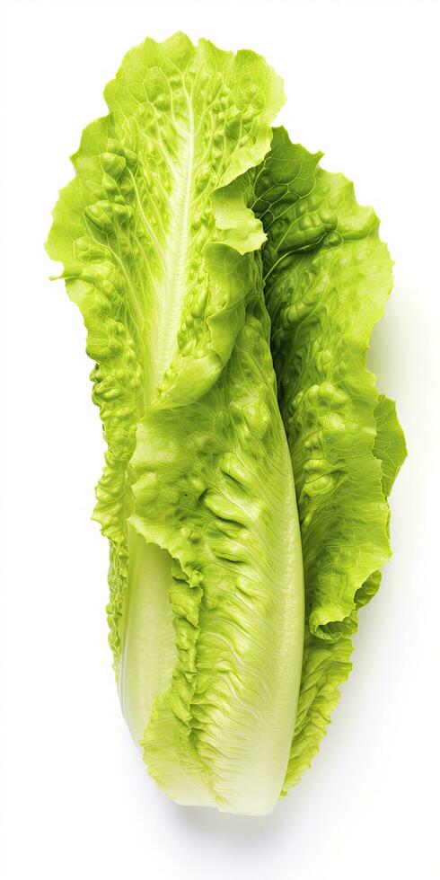 AI generated Lettuce isolated on white background. AI Generated photo