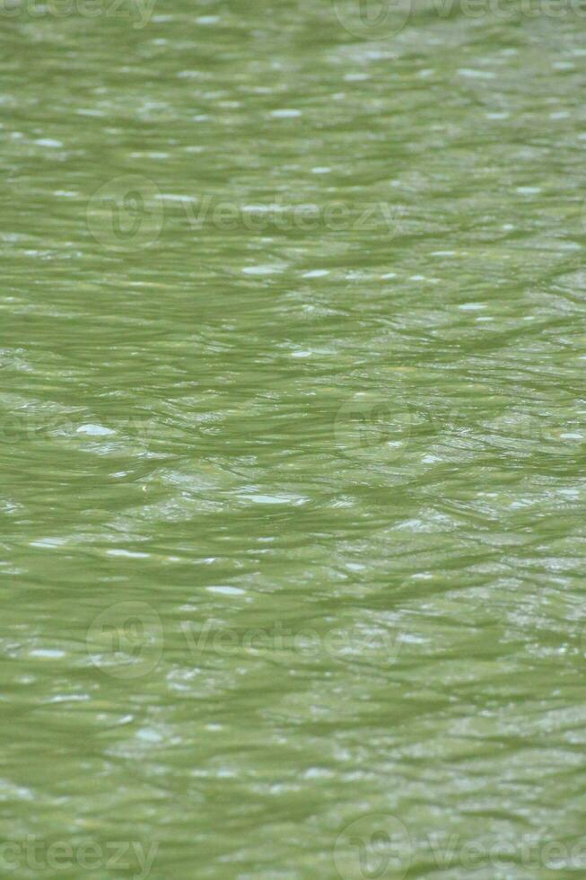 verde río agua foto