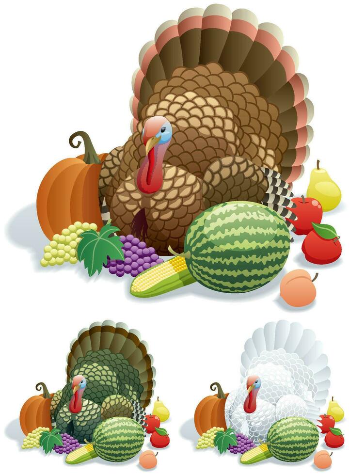 Thanksgiving Turkey Set vector