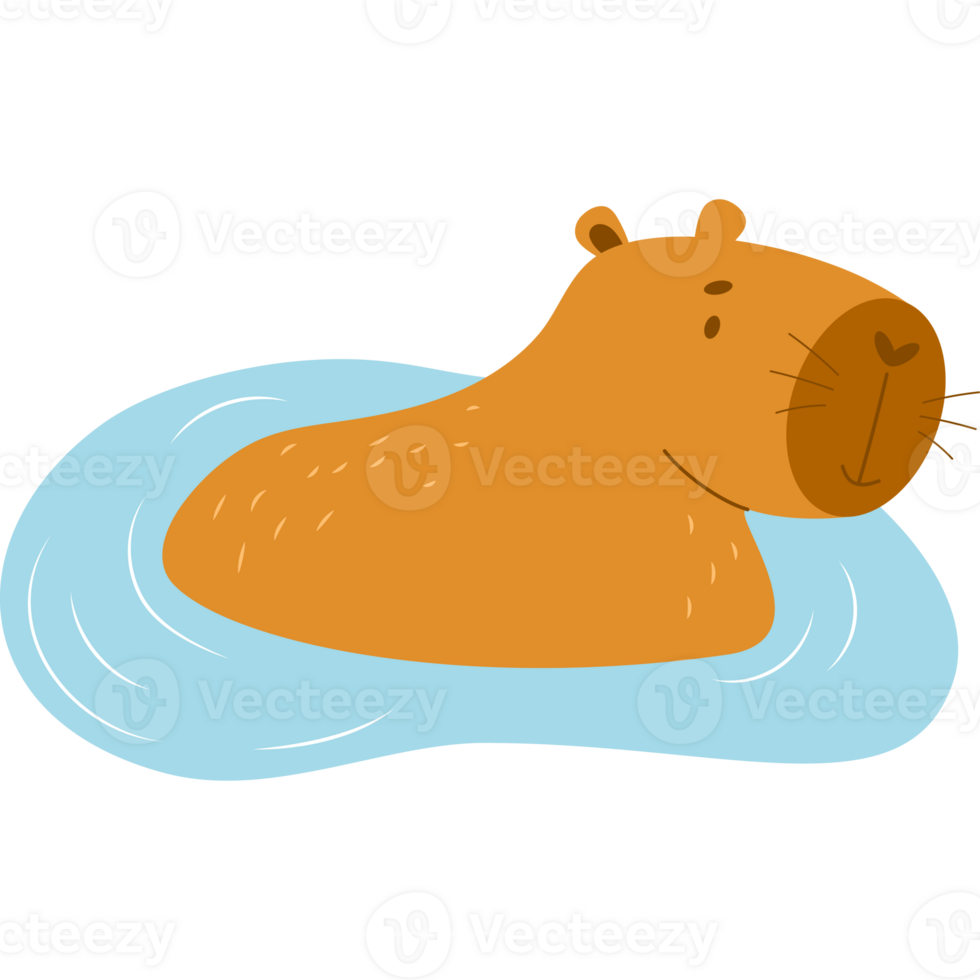 capybara dans l'eau png