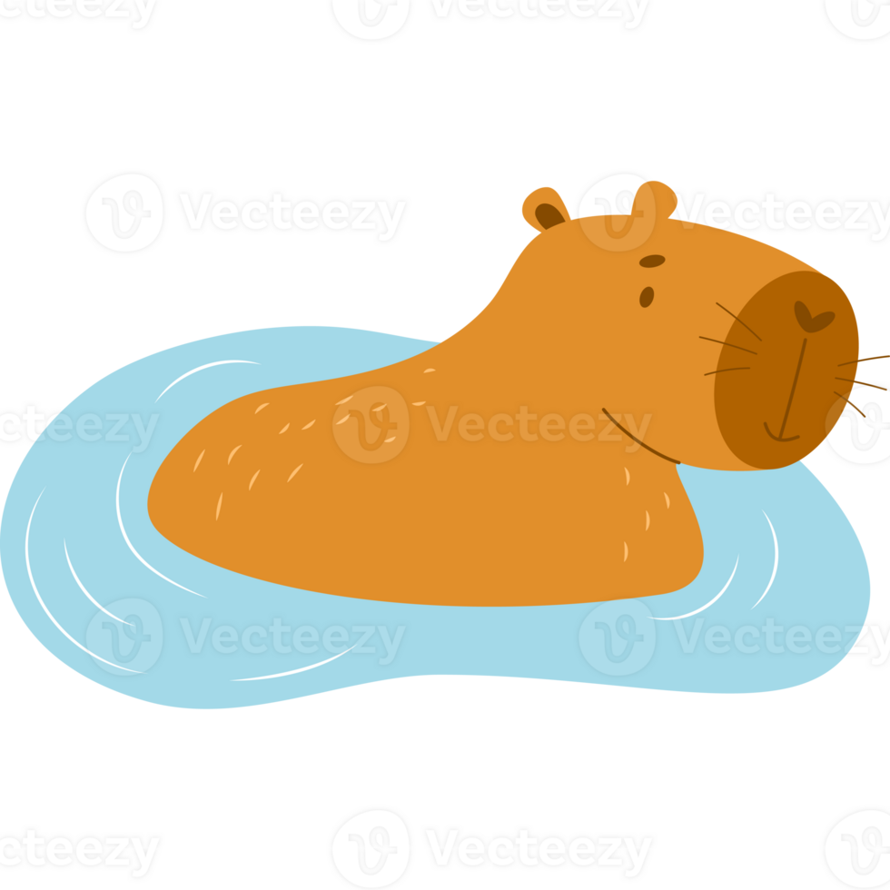 capibara in water png