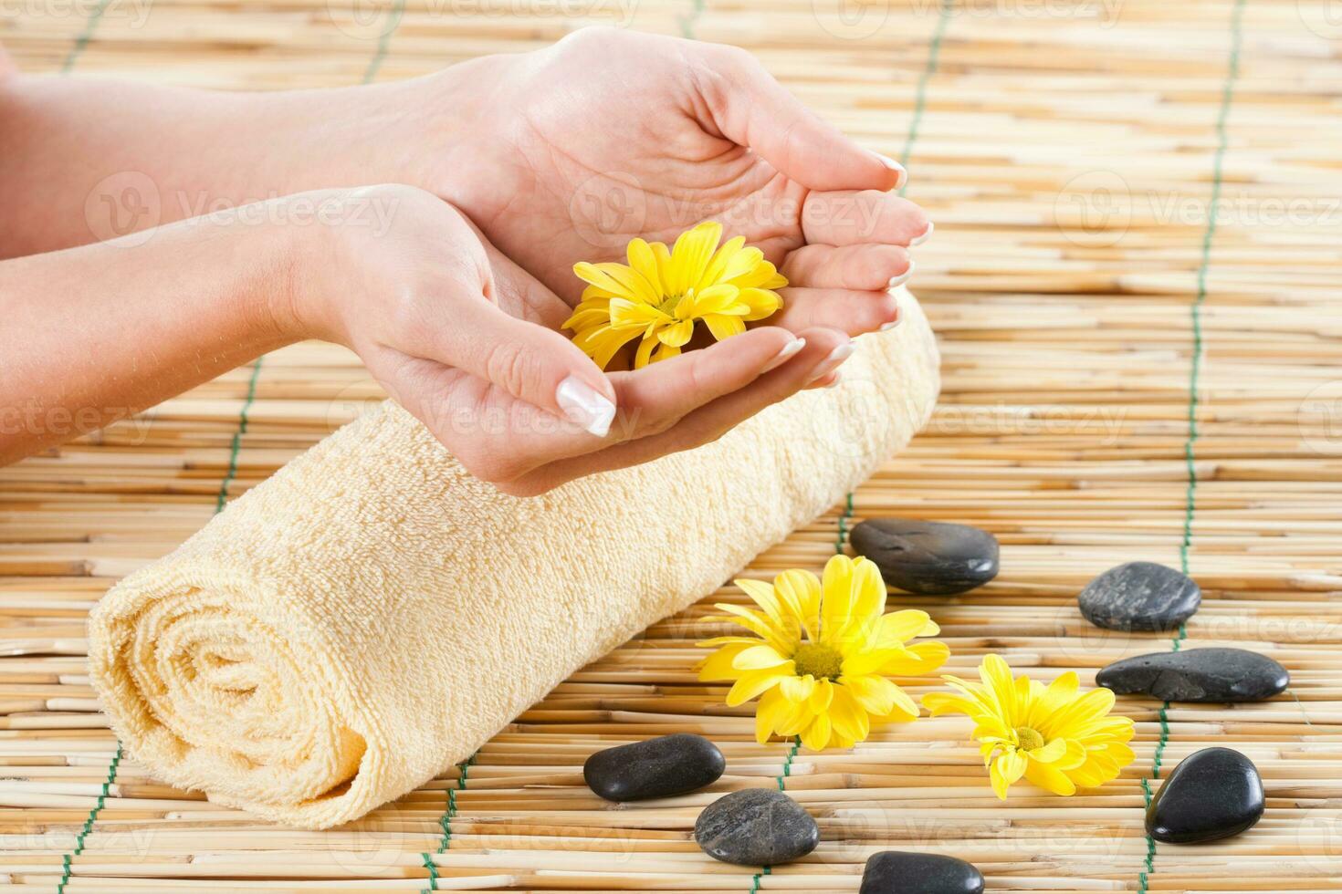 Female hands holding flower photo