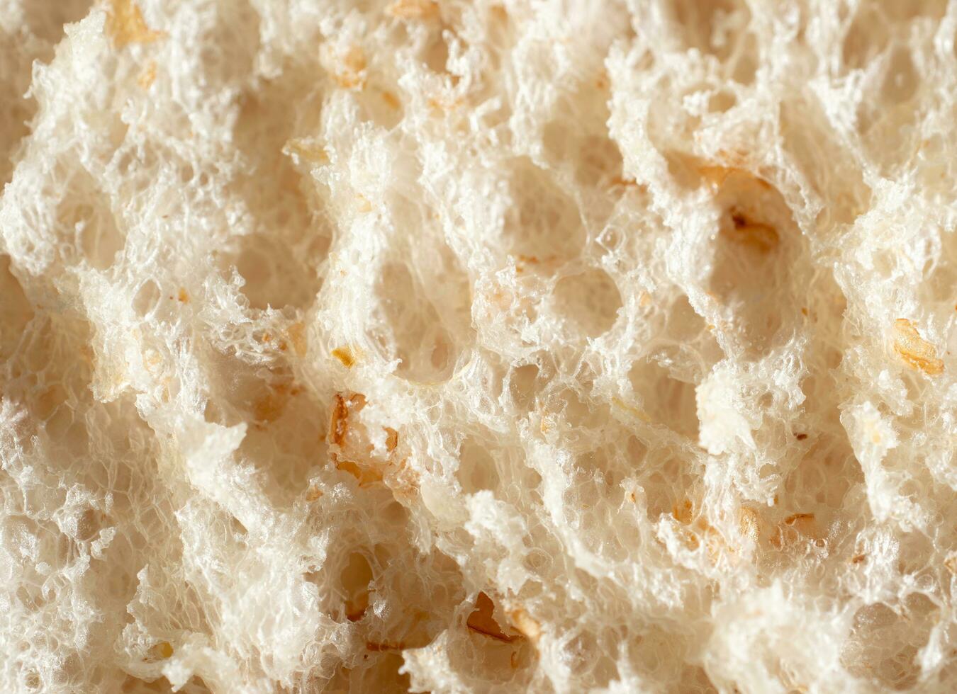 Macro or Close up bread. Lines, tissue or bread texture. Close up view of bread texture. photo