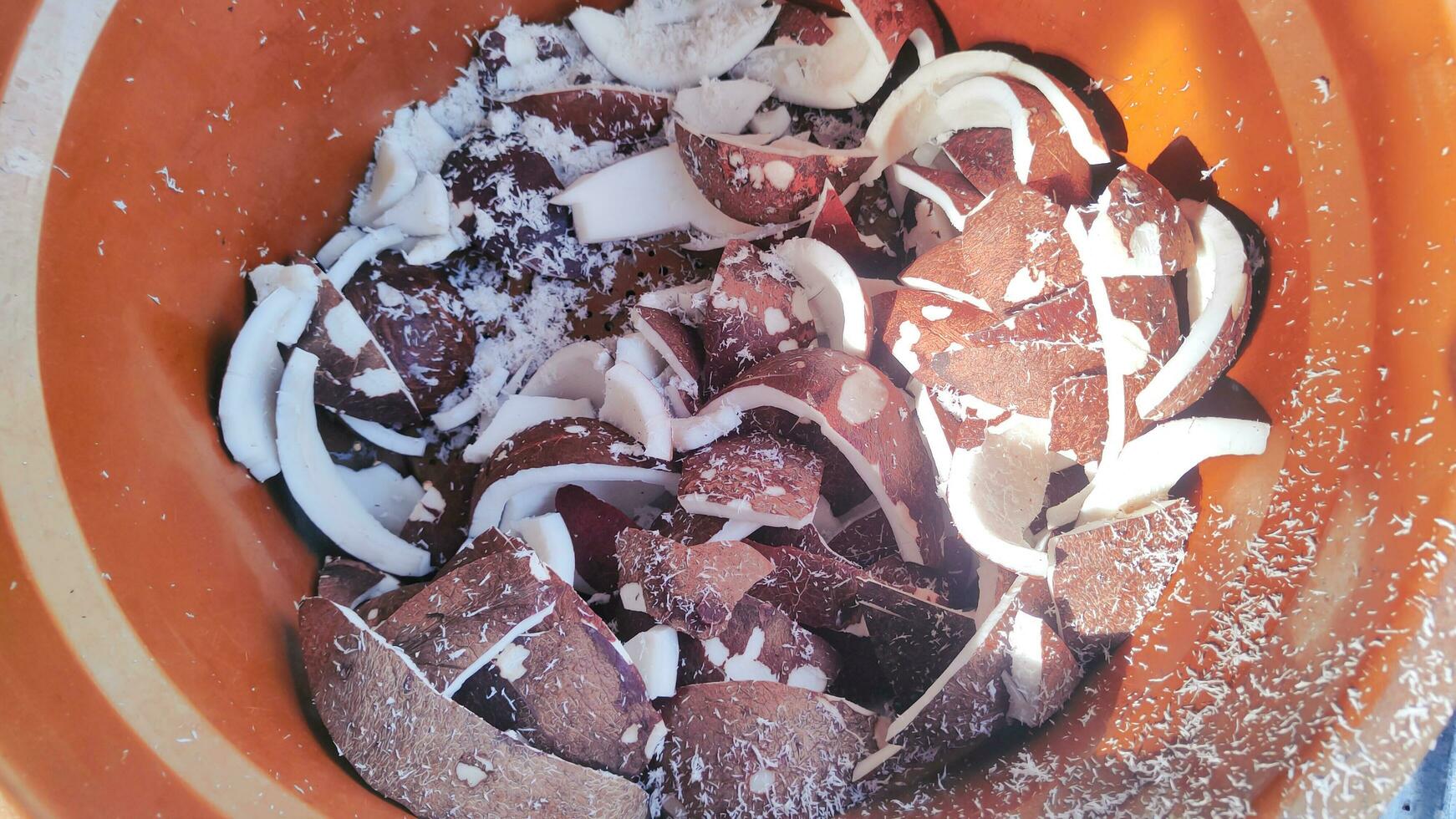 pile of old, peeled coconuts that will be grated photo