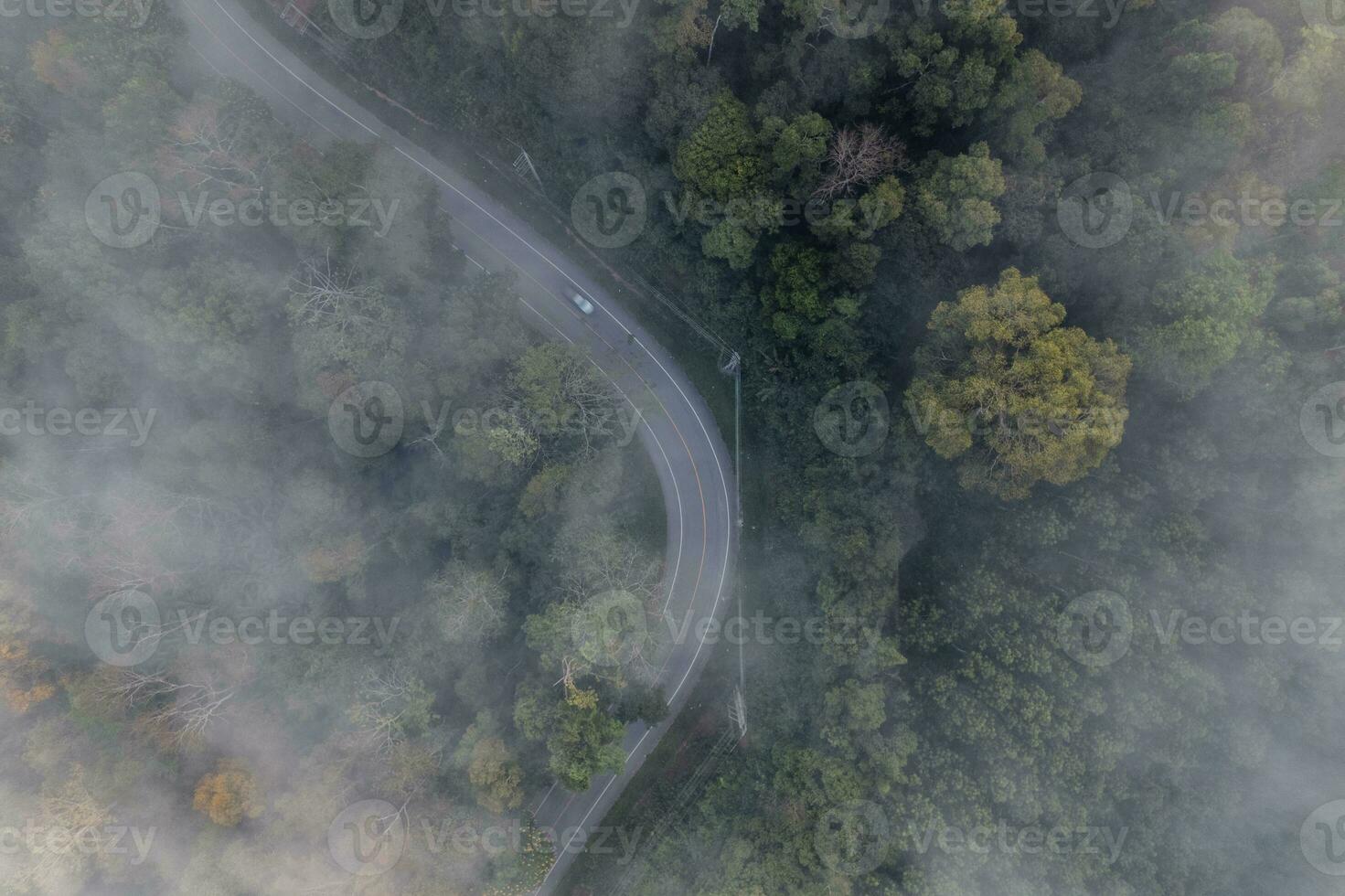 aéreo ver de bosque la carretera foto