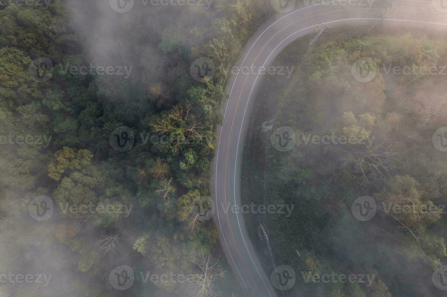 aéreo ver de bosque la carretera foto