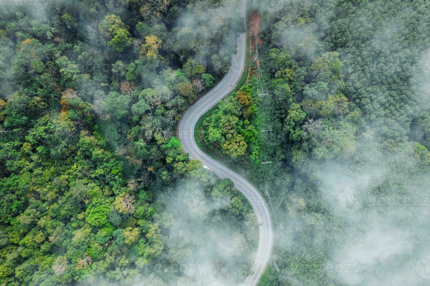 bosque la carretera y Mañana niebla, alto ángulo foto