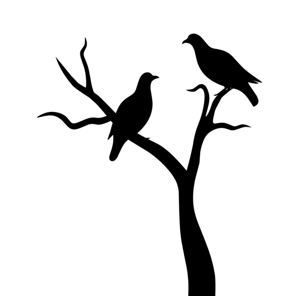 vector silueta de un par de aves en un seco árbol rama sin hojas, aislado en blanco fondo, un par de aves en amar, pared decoración, romántico silueta de aves en un rama