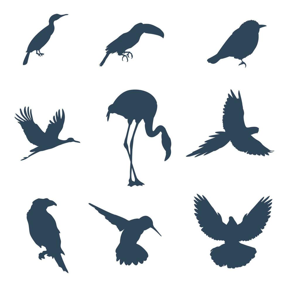 A set of silhouettes of various exotic birds vector