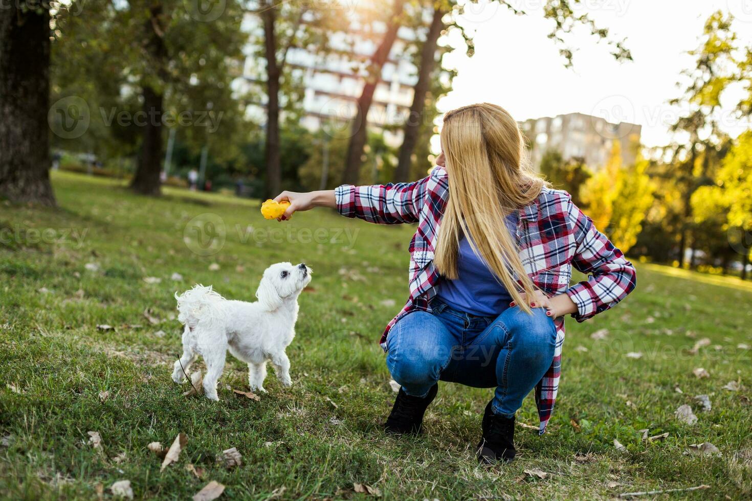 Beautiful woman is playing with her Maltese dog in the park. photo