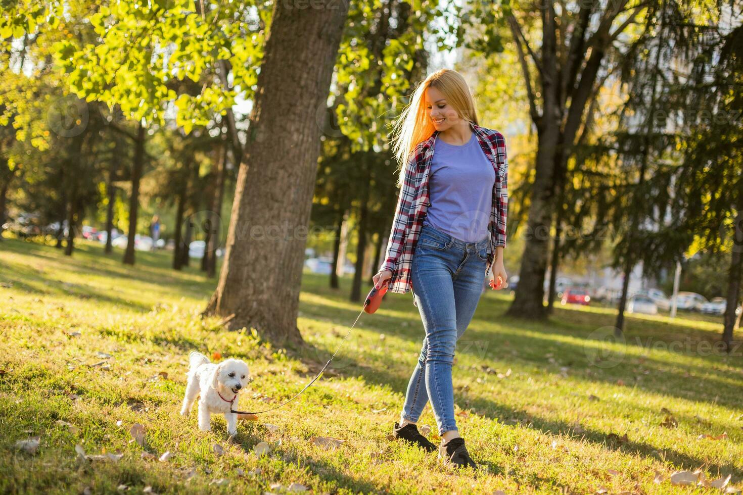 Beautiful woman walking with her Maltese dog in the park. photo