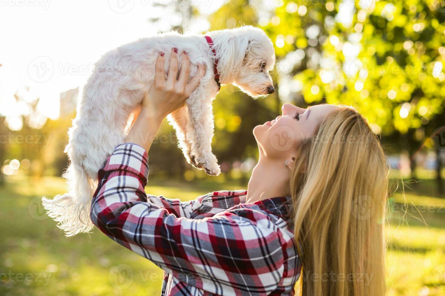 Beautiful woman spending time with her Maltese dog outdoor. photo